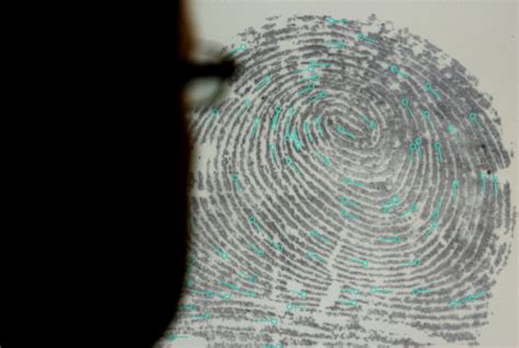 Fingerprints Hold Clue To Ancestry