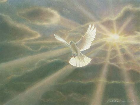 189 Best Images About Dove Of Peaceholy Spirit On Pinterest More