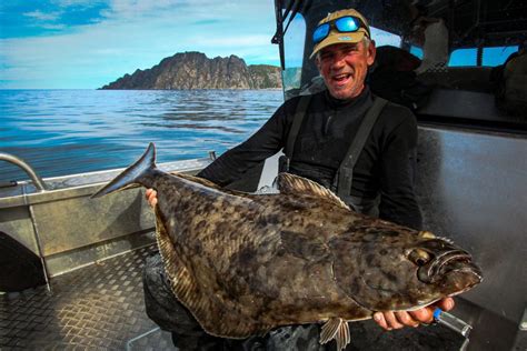 Absolutely Crazy Halibut Fishing Five Halibut At Once In Havöysund