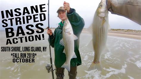 Insane Striped Bass Action South Shore Surf Fishing Fall Run