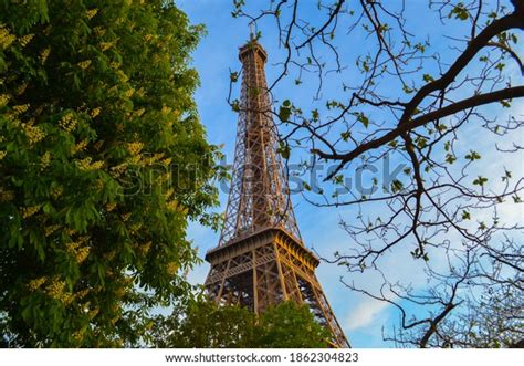 Eiffel Tower Between Trees Horizontal Photography Stock Photo
