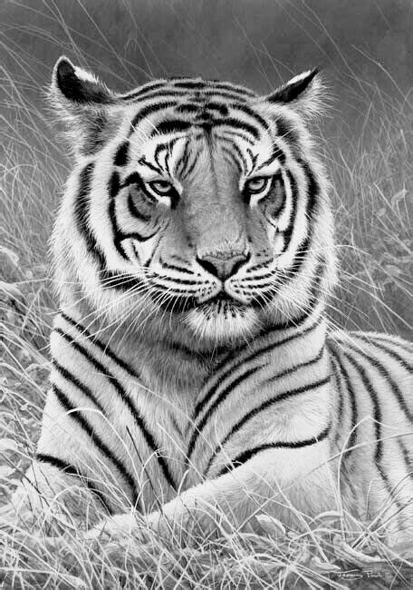 Signup to get the inside scoop from our monthly newsletters. Coloring and inspiration animals | Grayscale coloring ...