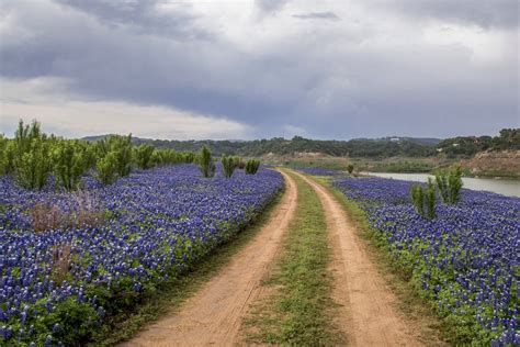 The Ten Best Spots In Texas To See Bluebonnets In Jason Weingart Photography