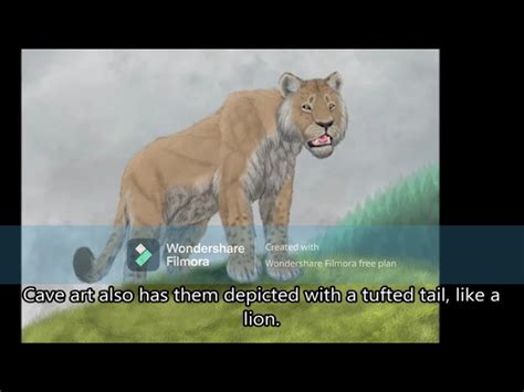 Facts Of Eurasian Cave Lion Fandom