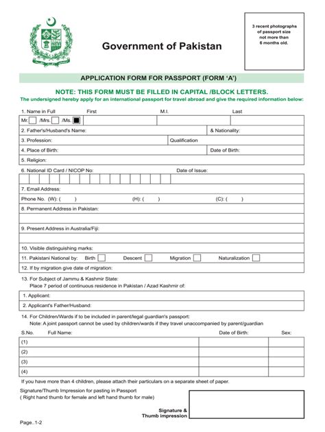 Passport Form Fill Out And Sign Online Dochub