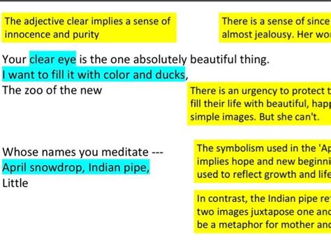 Sylvia Plath Prescribed Poetry Leaving Cert English Teaching Resources