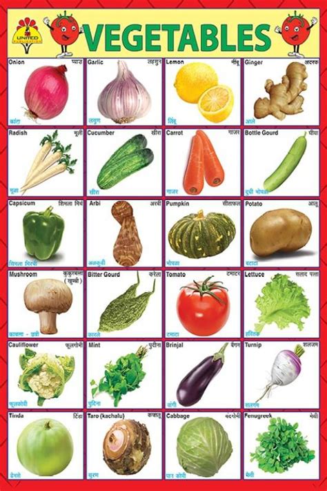 Vegetables And Names