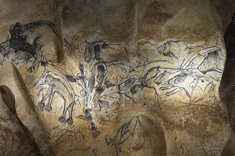 Prehistoric Art Chauvet Cave Replica France Stock Image C0513424