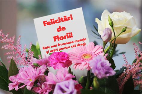 Wasii Felicitari Cu Flori De Florii