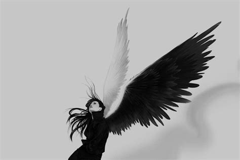 Angel Wings Wallpaper ·① Wallpapertag