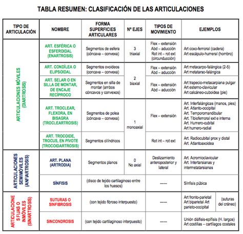 Tipos De Articulaciones Sistema Articular Cuadro Comparativo