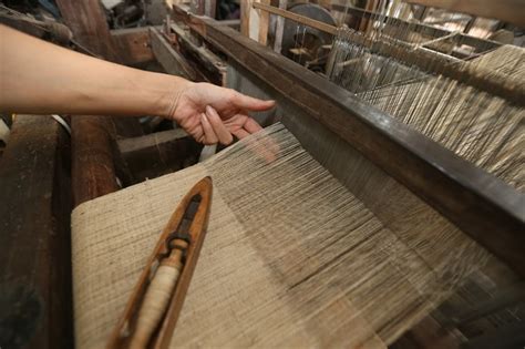 Weaving Silk From Lotus