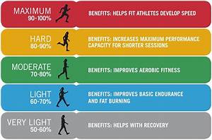 The Best Heart Rate To Burn Fat Let 39 S Talk About The Quot Fat Burning Zone Quot