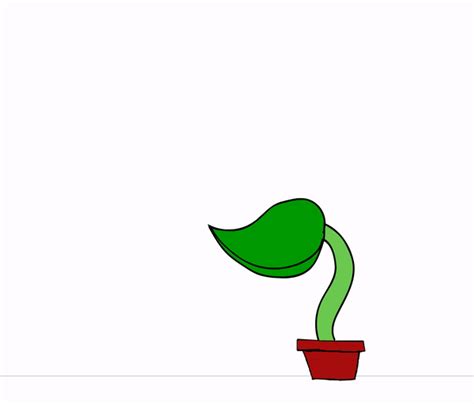 Plant  Animated