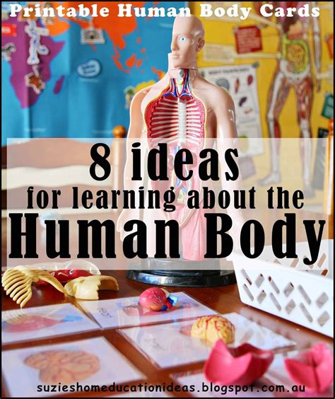 This amazing classroom activity can invoke creativity among students. beginning words for kids | Human body science, Human body ...