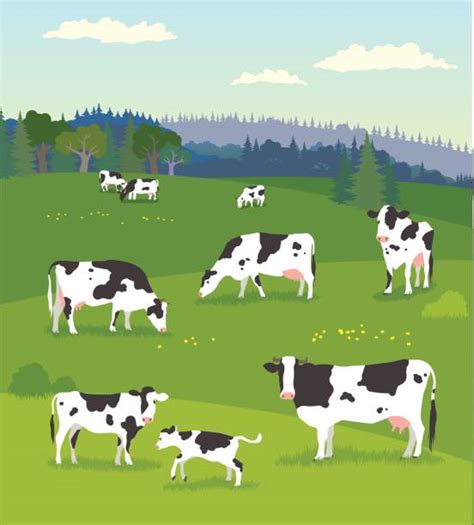 Clipart Pasture 10 Free Cliparts Download Images On Clipground 2024