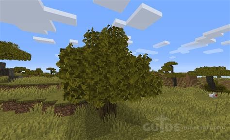 Download Bushy Leaves Texture Pack For Minecraft 119118211711