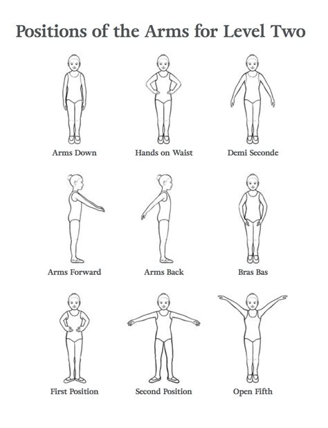 Arm Positions In Ballet Images Ballet Positions Ballet Basics