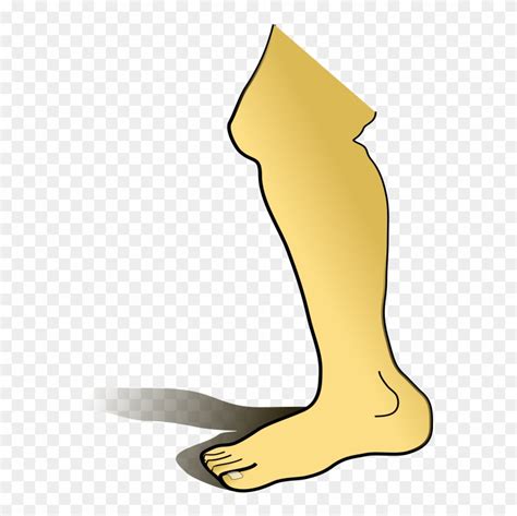Clipart Leg Human Pictures On Cliparts Pub 2020 🔝