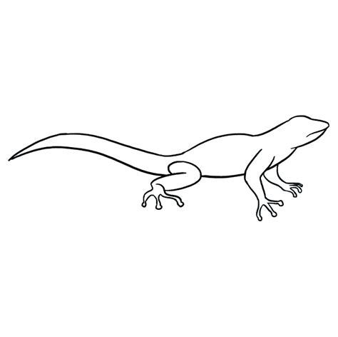 How To Draw A Lizard Really Easy Drawing Tutorial