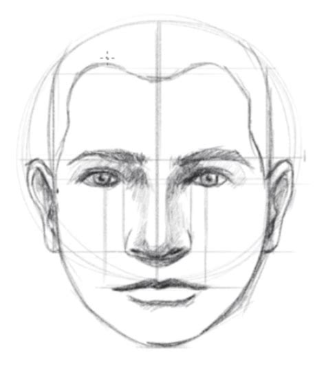 How To Draw A Face Facial Proportions Facial Proportions Face