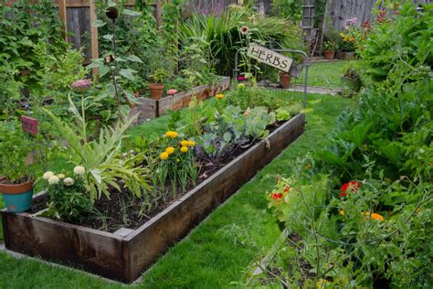 Raised Garden Beds Wagners Greenhouses