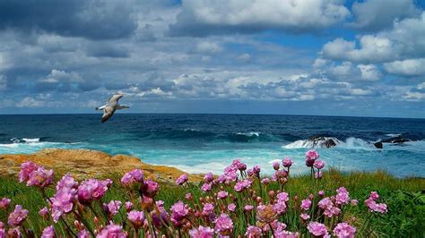 Pin By Wendy Vogel On I Wanna Paint Landscape Photography Ocean