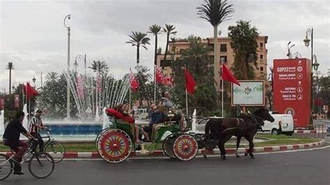 ارتفاع عدد السياح الوافدين على المغرب بنسبة 34 في المائة بنهاية عام