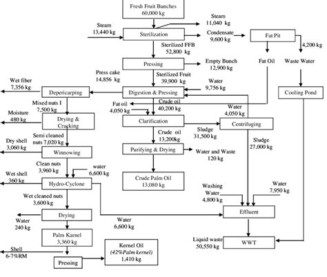 Palm Oil Mill Process Flow Diagram