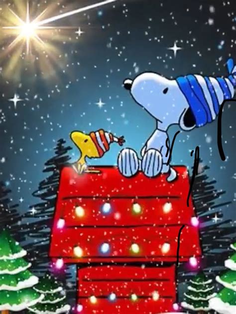 🎉 Snoopy And Woodstock 🎉 Funny Christmas Pictures Funny Christmas Cards