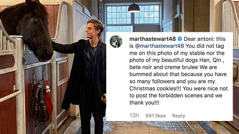 Martha Stewart Drags Antoni To Hell For Not Tagging Her In His Ig Pic