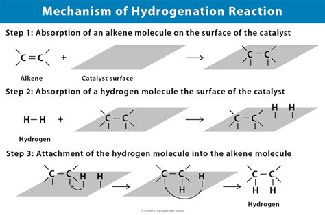 Hydrogenation Definition Examples And Applications