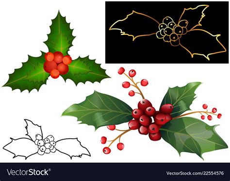 Christmas Holly Berries And Leaves Royalty Free Vector Image