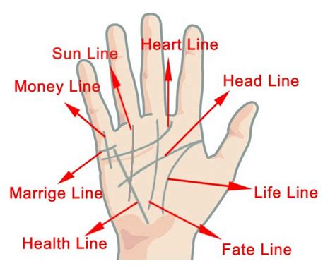 Palm Reading How To Read Palm Lines A Full Guide To Palmistry