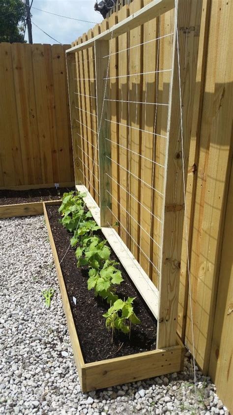 Growing vertically is a great way to make the most of a small garden space. Cucumber Trellis for Under $20 | Cucumber trellis diy, Diy ...