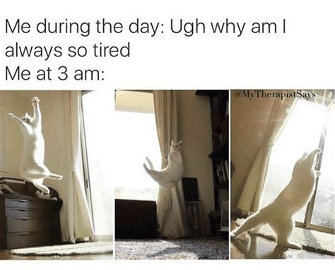 He sounds like curly from the 3 stooges! 20 Purrfect Cat Memes To Top Off Your Caturday | Caturday ...