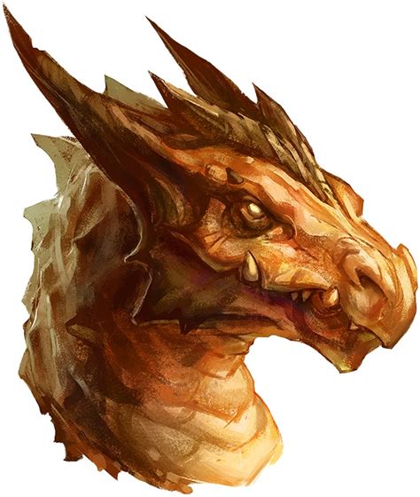 Copper Dragon Pathfinderwiki
