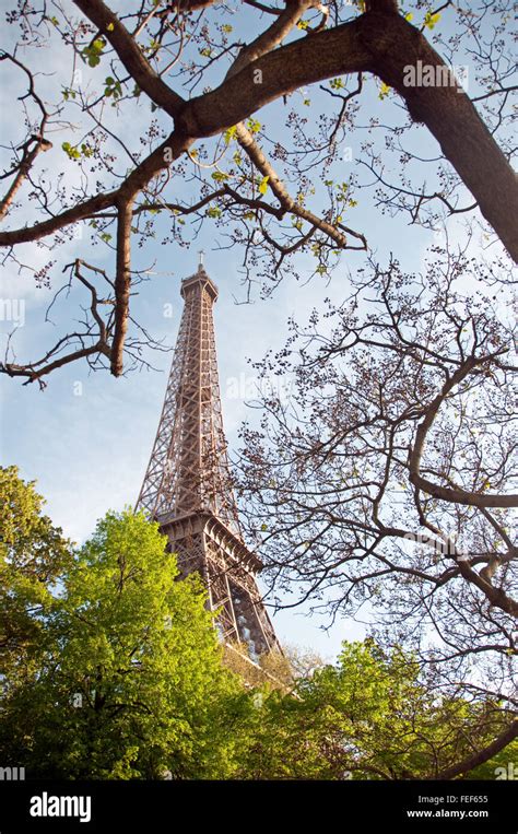 Eiffel Tower Through The Trees Paris France Stock Photo Alamy