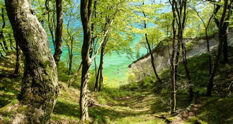 Jasmund National Park Center “königsstuhl” Germany Linking Tourism