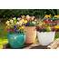 How To Make Beautiful Flower Pots At Home  Better Homes And Gardens