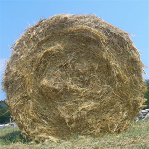Round Bale Hay Cost How Much Does It Cost To Buy A Round Bale Of Hay