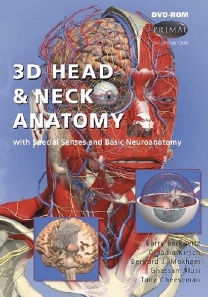 3d Head And Neck Anatomy For Dentistryzip Saint Louis Partners