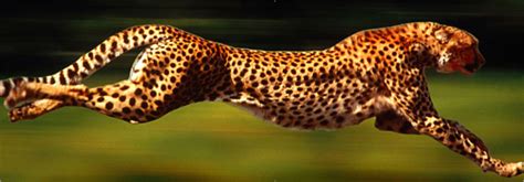 A common question ishow many mile in a kilometer?and the answer is 0.6213711922 mi in every km. Chandra :: Educational Materials :: Stop for Science ...