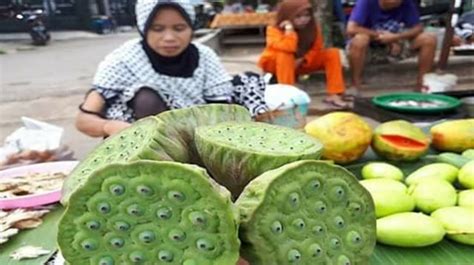 Mengenal Palilak Buah Bunga Teratai Yang Memiliki Banyak Mata