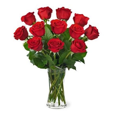 One Dozen Red Roses Between Flowers Design Florist In Weston Fl