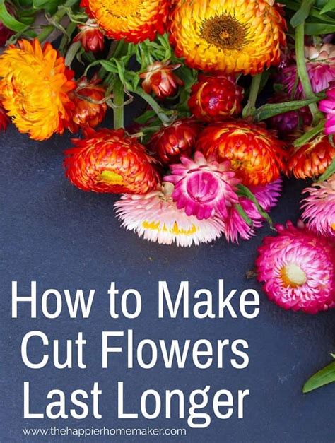 How To Make Cut Flowers Last Longer The Happier Homemaker