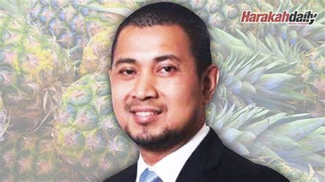 Noor izwadi mohd noor, vice chairman, persatuan penanam nanas. Isu pasaran buah nanas jenis Moris