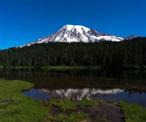 Mt Rainier And Reflection Lake In Summer Smithsonian Photo Contest