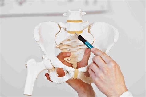 What Is The L5 S1 Lumbosacral Joint