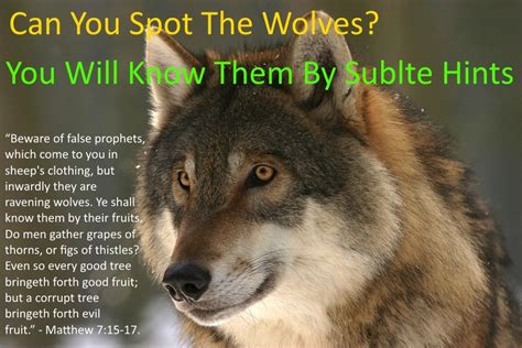 Wolves In Sheeps Clothing Im Following Jesus Proverbs 12 10 Raven